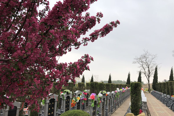 沈阳公墓不同类型墓地的价格和选购建议