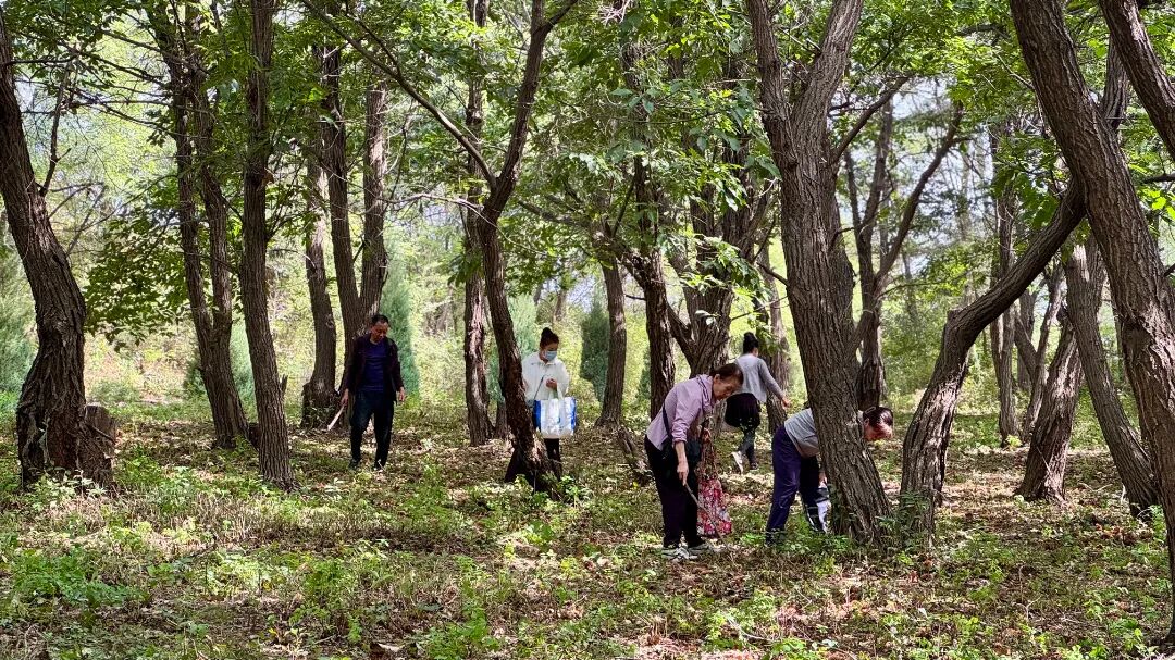 金秋游园会、共赴山河约，辽宁观陵山艺术园林公墓中秋活动